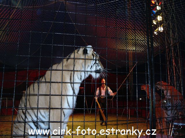SAM_5041