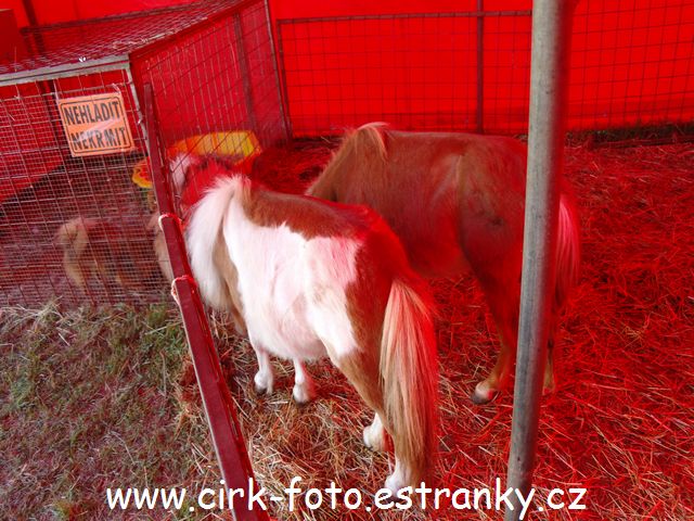 SAM_5153