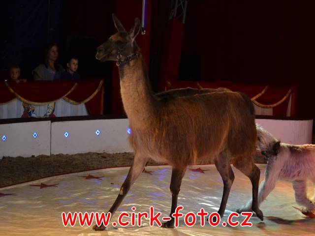 DSC_4643 (Kopírovat)