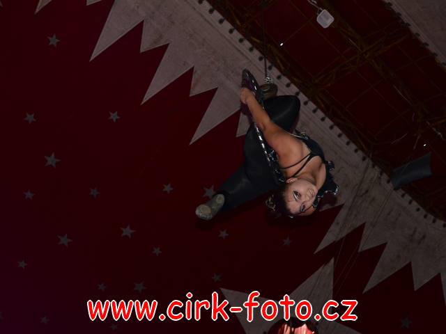 DSC_3927 (Kopírovat)