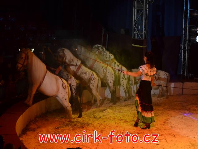 DSC_5155 (Kopírovat)