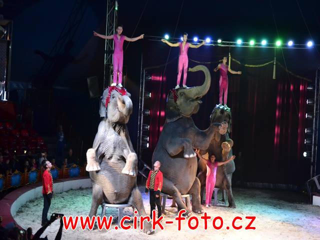 DSC_5344 (Kopírovat)
