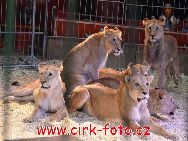 DSC_3318 (Kopírovat)