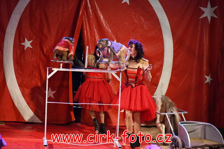DSC_3647 (Kopírovat)