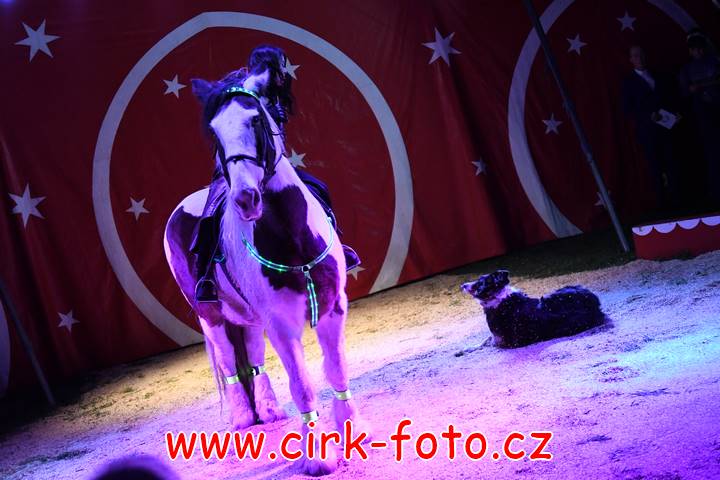 DSC_4067 (Kopírovat)