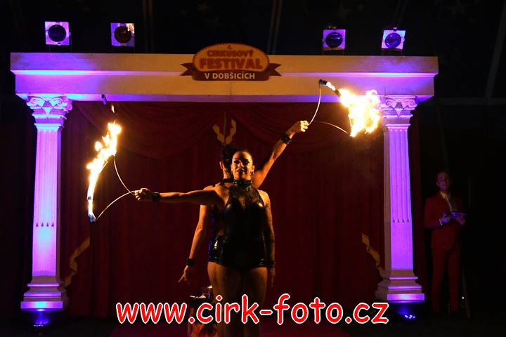 DSC_4113 (Kopírovat)