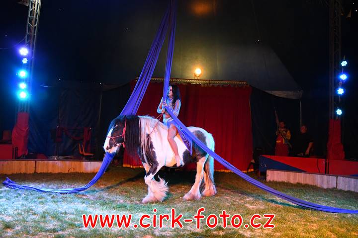 DSC_6084 (Kopírovat)