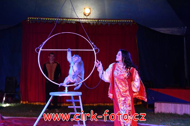 DSC_6248 (Kopírovat)
