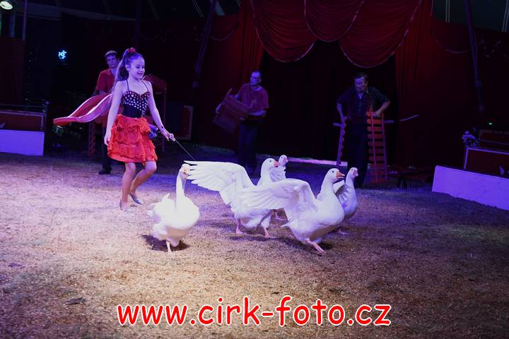 DSC_6840 (Kopírovat)