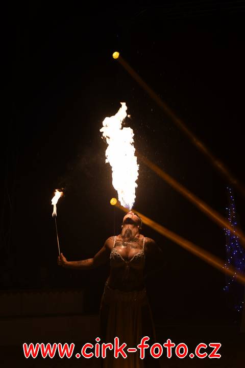 DSC_7944 (Kopírovat)