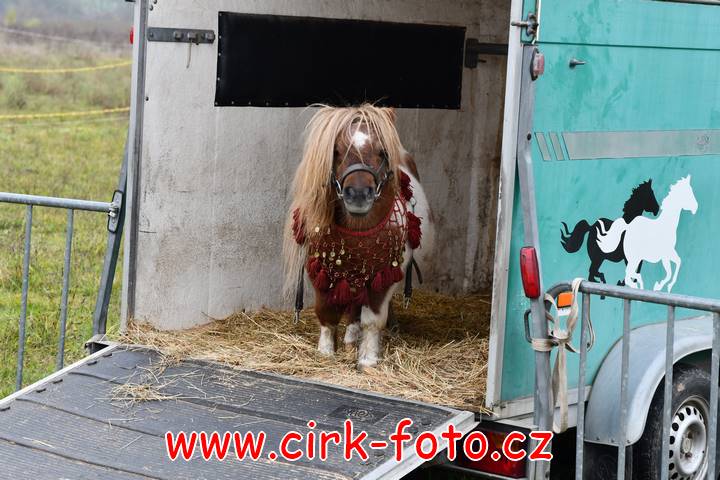 DSC_2402 (Kopírovat)