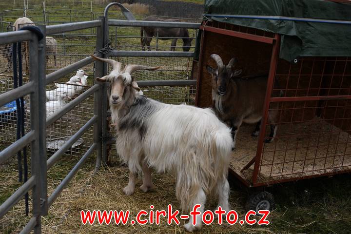 DSC_2412 (Kopírovat)