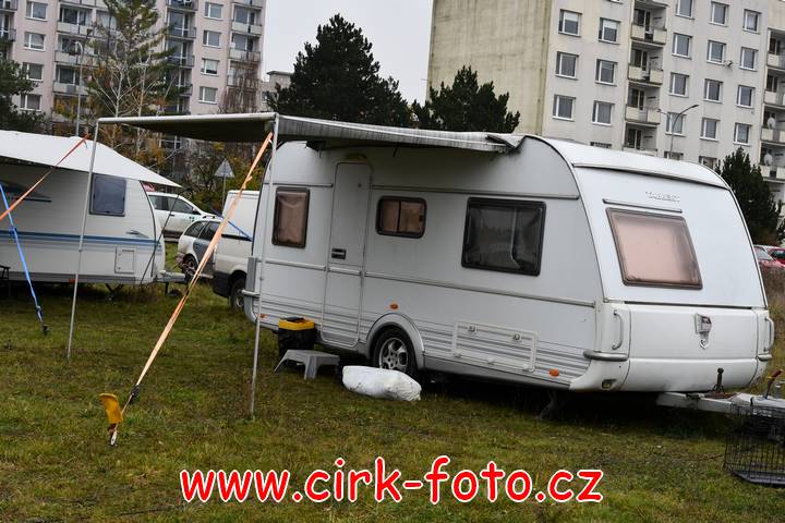 DSC_2416 (Kopírovat)