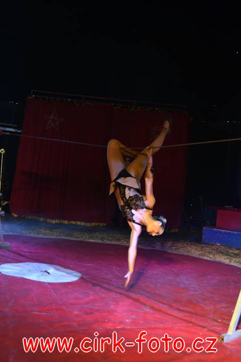 DSC_2463 (Kopírovat)