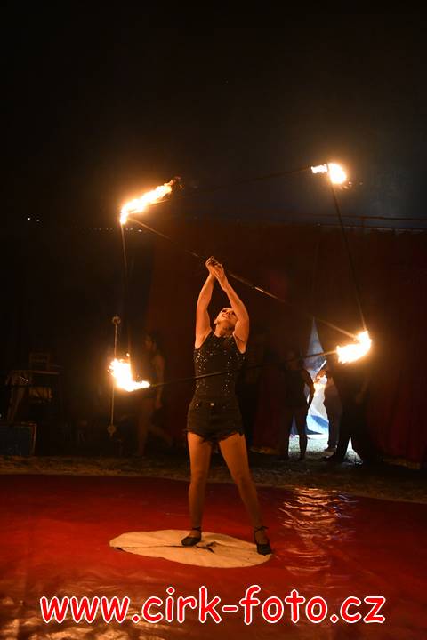 DSC_2544 (Kopírovat)