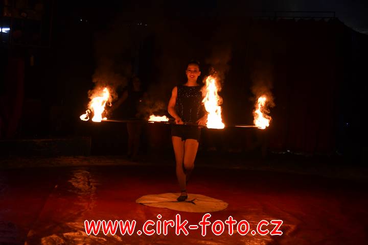 DSC_2545 (Kopírovat)