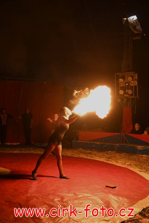 DSC_2546 (Kopírovat)