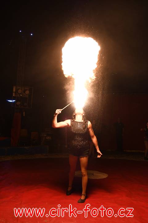 DSC_2550 (Kopírovat)