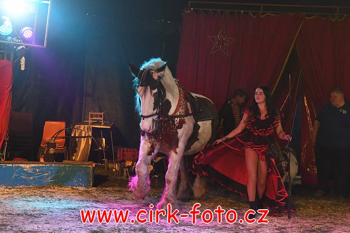 DSC_2559 (Kopírovat)