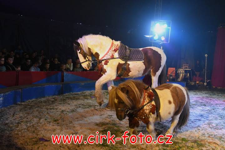 DSC_2564 (Kopírovat)