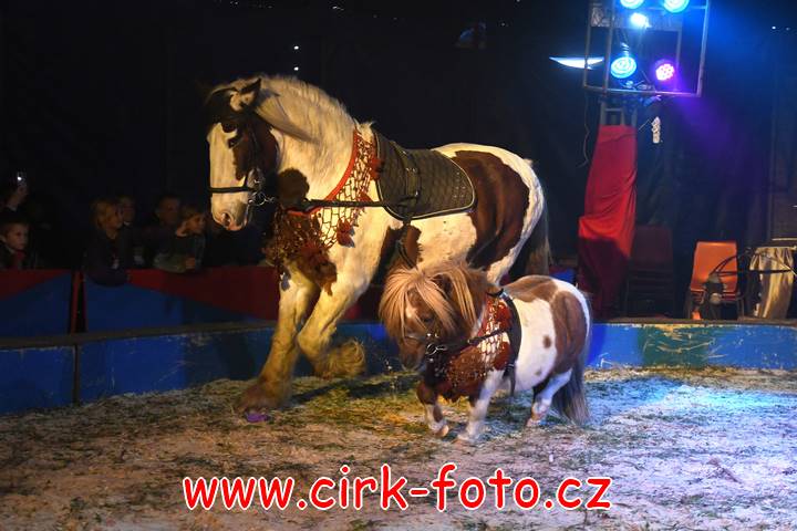 DSC_2578 (Kopírovat)