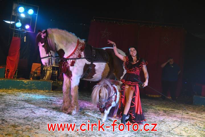 DSC_2586 (Kopírovat)