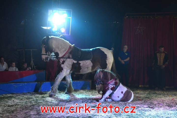 DSC_2590 (Kopírovat)