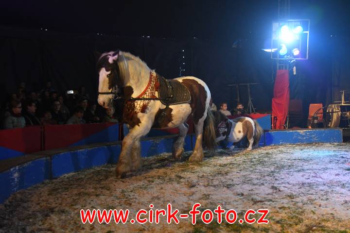 DSC_2596 (Kopírovat)