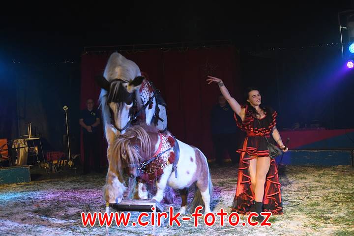 DSC_2600 (Kopírovat)