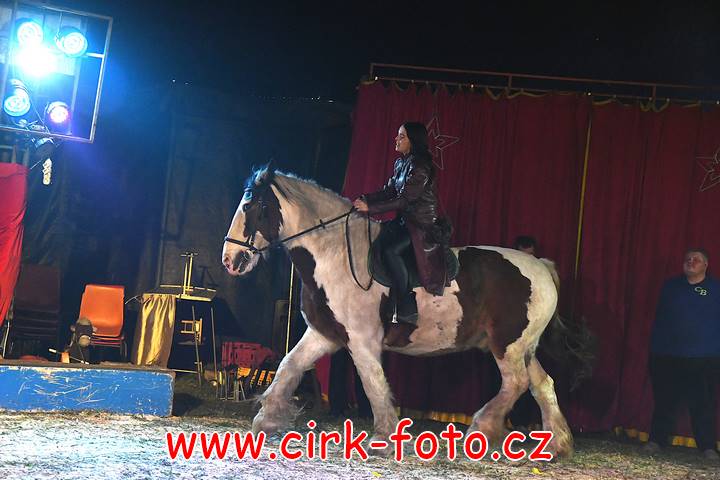 DSC_2695 (Kopírovat)