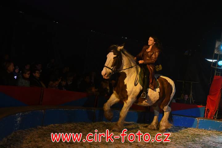 DSC_2696 (Kopírovat)