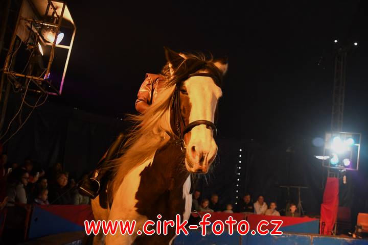 DSC_2698 (Kopírovat)