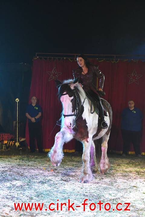 DSC_2701 (Kopírovat)