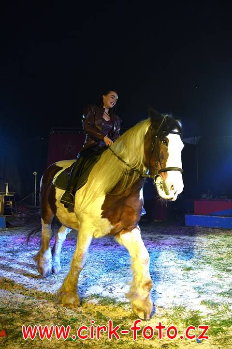 DSC_2708 (Kopírovat)