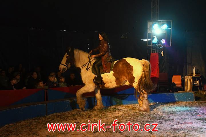 DSC_2711 (Kopírovat)