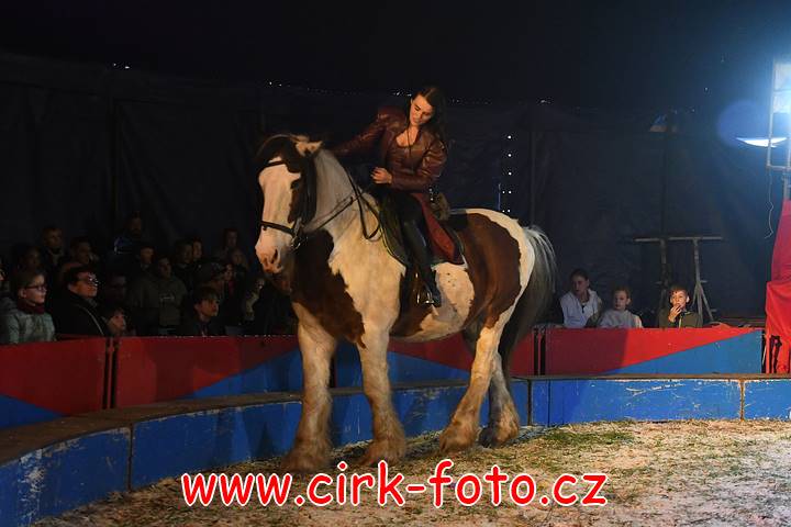 DSC_2721 (Kopírovat)