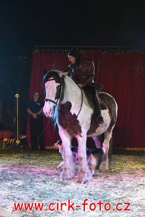 DSC_2729 (Kopírovat)