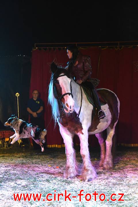 DSC_2735 (Kopírovat)