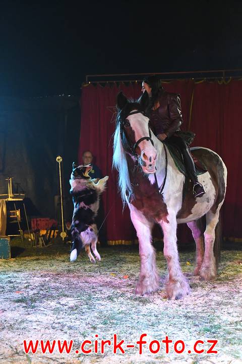 DSC_2736 (Kopírovat)