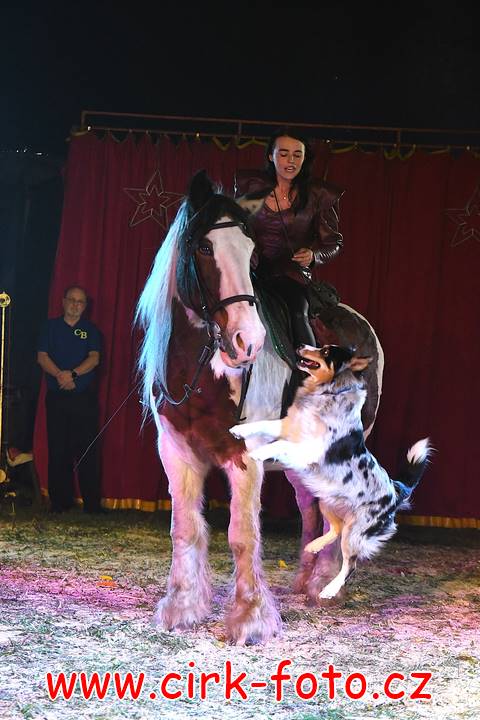 DSC_2737 (Kopírovat)