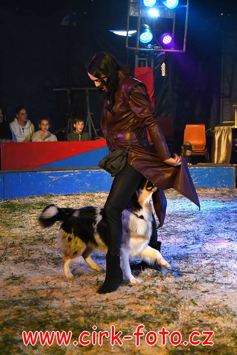 DSC_2744 (Kopírovat)