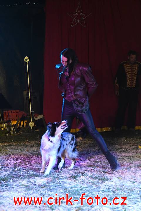 DSC_2749 (Kopírovat)