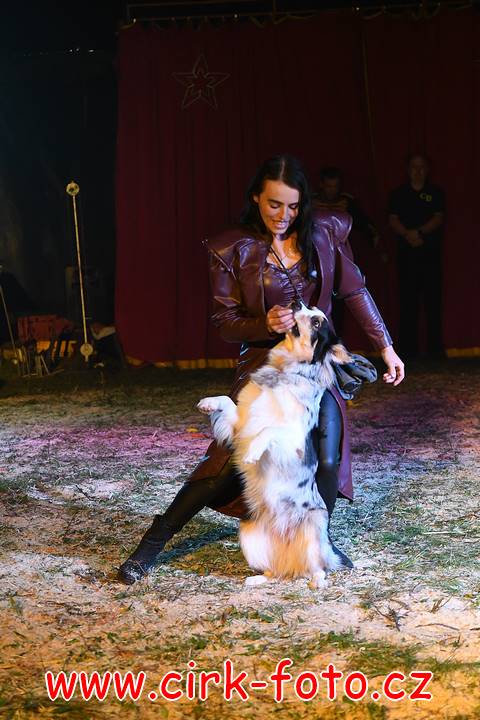 DSC_2760 (Kopírovat)