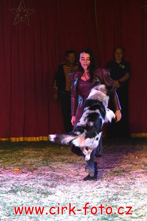 DSC_2765 (Kopírovat)