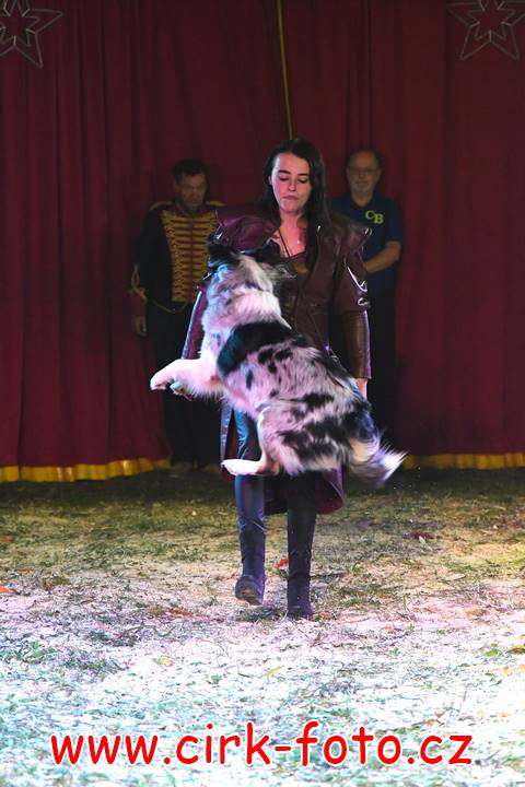 DSC_2766 (Kopírovat)