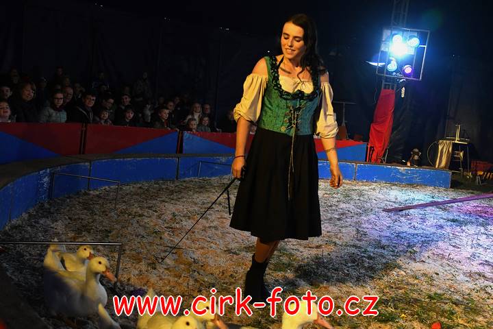 DSC_2796 (Kopírovat)