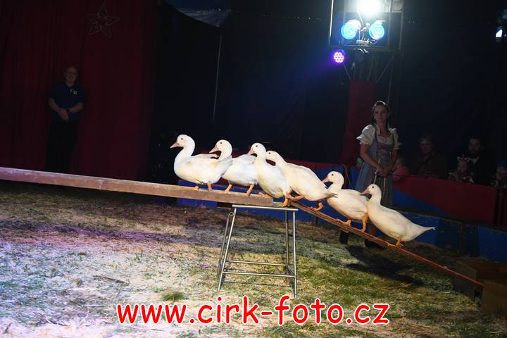 DSC_2797 (Kopírovat)