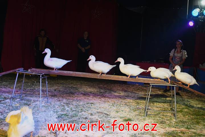 DSC_2798 (Kopírovat)