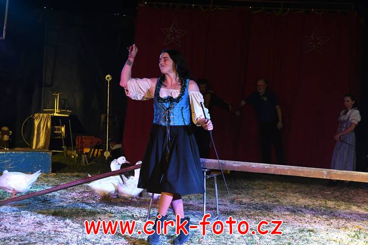 DSC_2802 (Kopírovat)