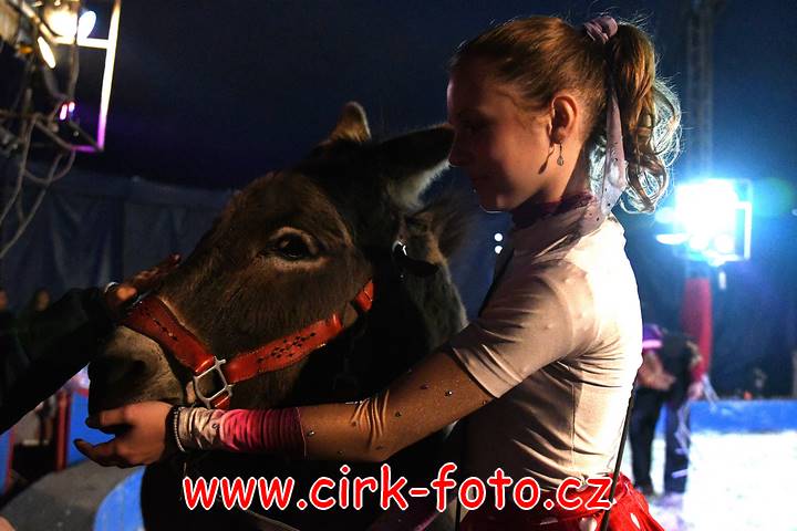 DSC_2805 (Kopírovat)